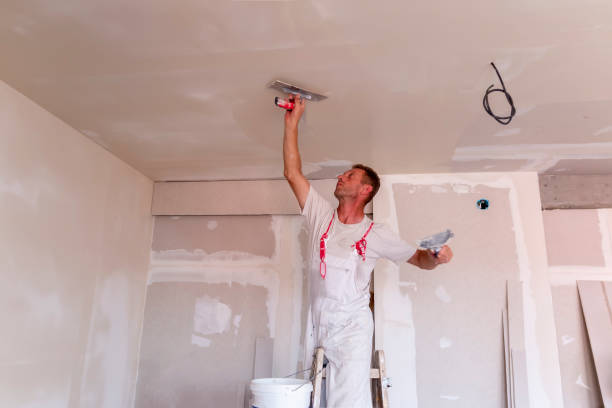 Best Water-Damaged Drywall Repair  in Beverly Hills, FL